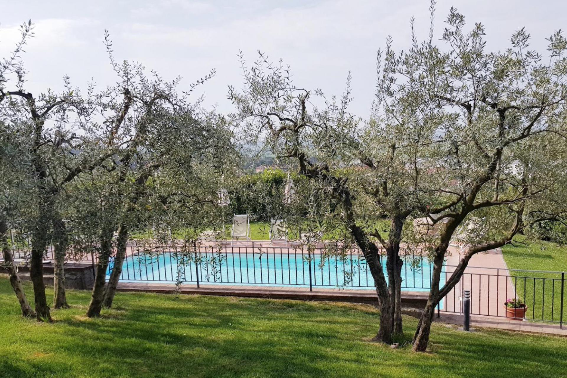 Agriturismo Toscana Accogliente agriturismo vicino a Cortona