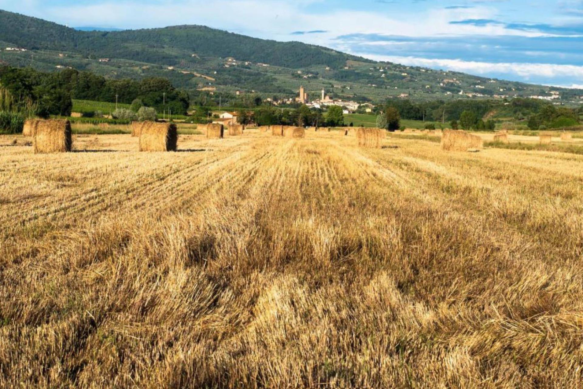Agriturismo Toscana Agriturismo centrale per esplorare la Toscana
