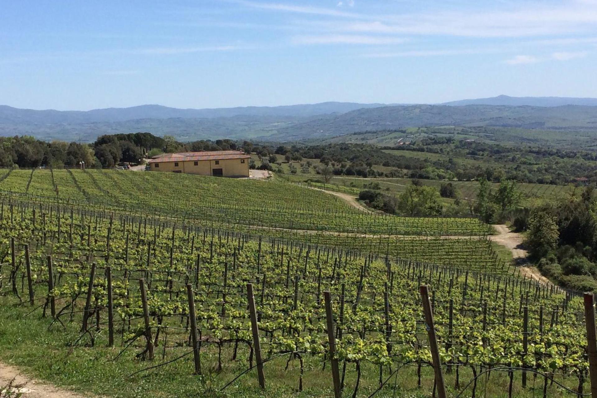Agriturismo Toscana Agriturismo tra i vigneti a sud di Siena