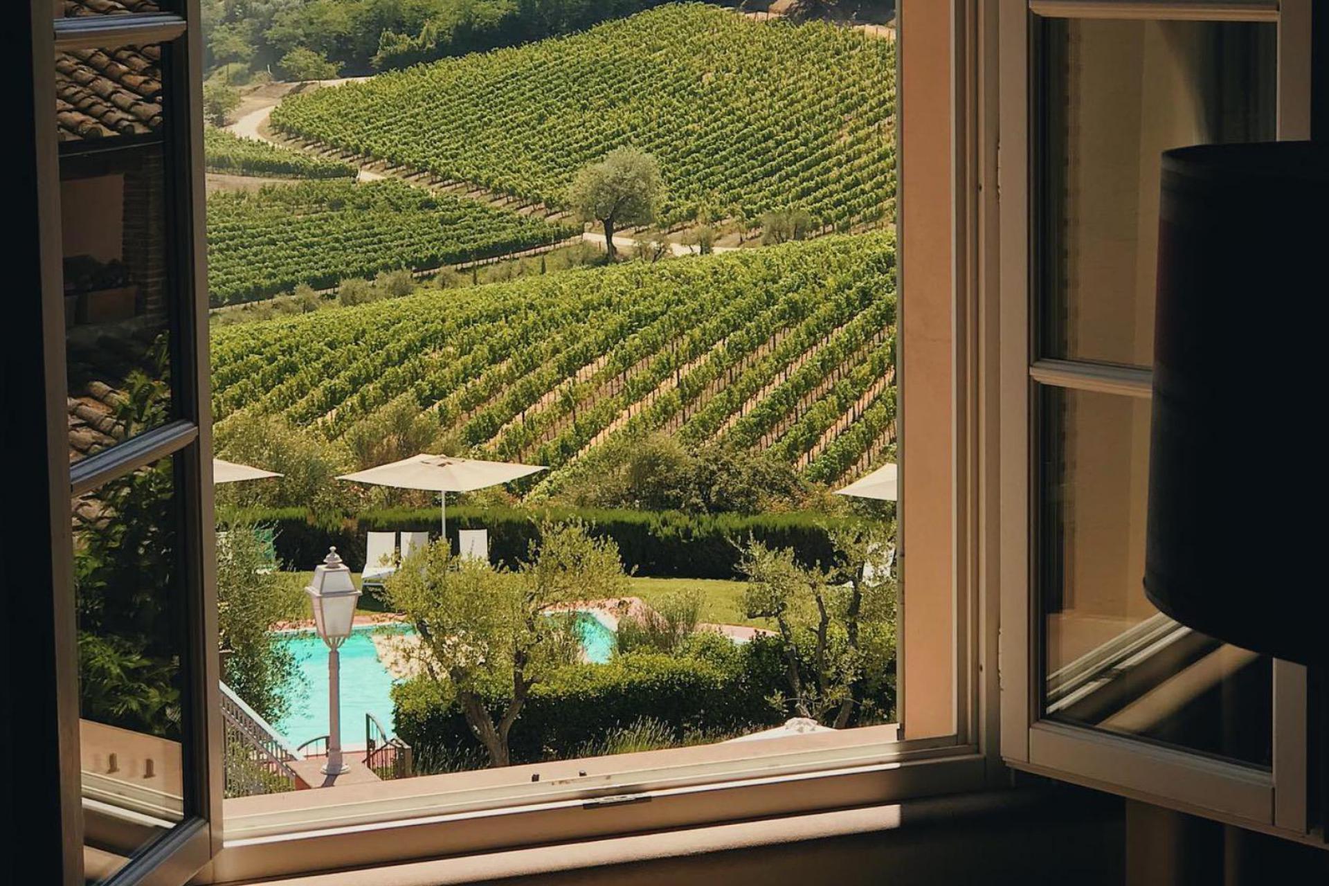 Agriturismo Toscana Azienda vinicola e agriturismo di lusso vicino Pisa