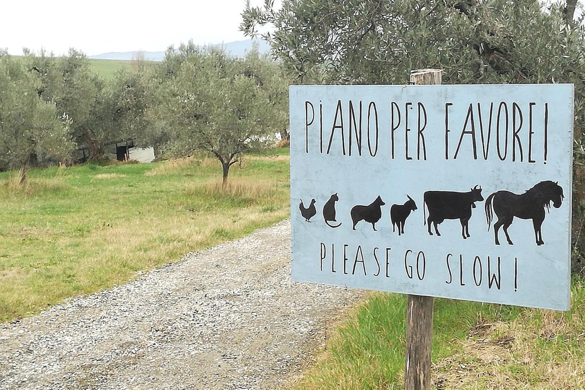 Agriturismo Toscana Piccola fattoria biologica nelle colline toscane