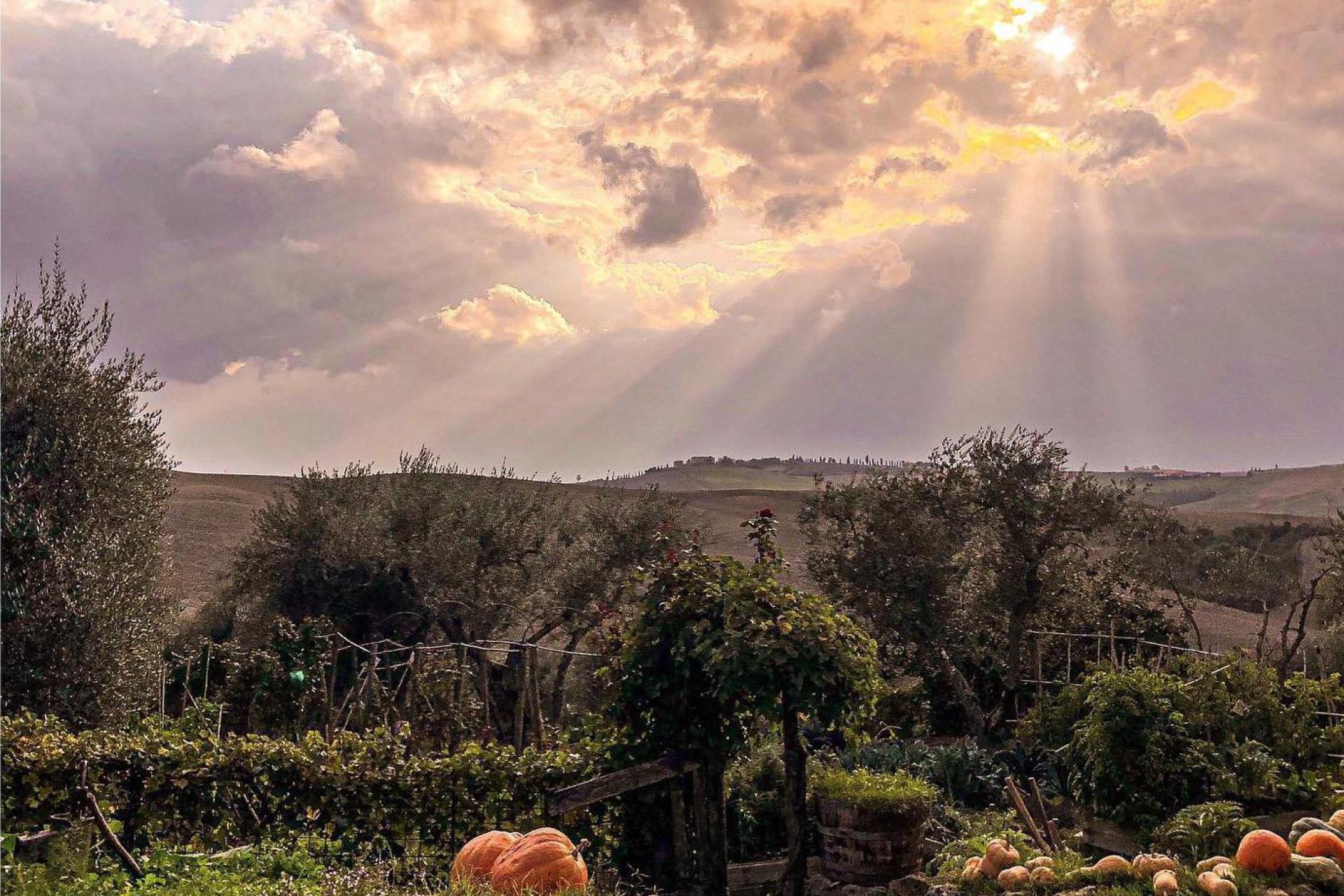 Agriturismo Toscana Sorprendente agriturismo vicino a Pienza con ristorante