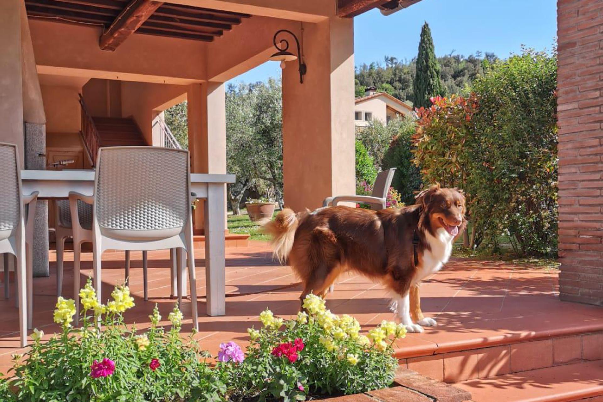 Agriturismo piccolo e lussuoso vicino Volterra, Toscana