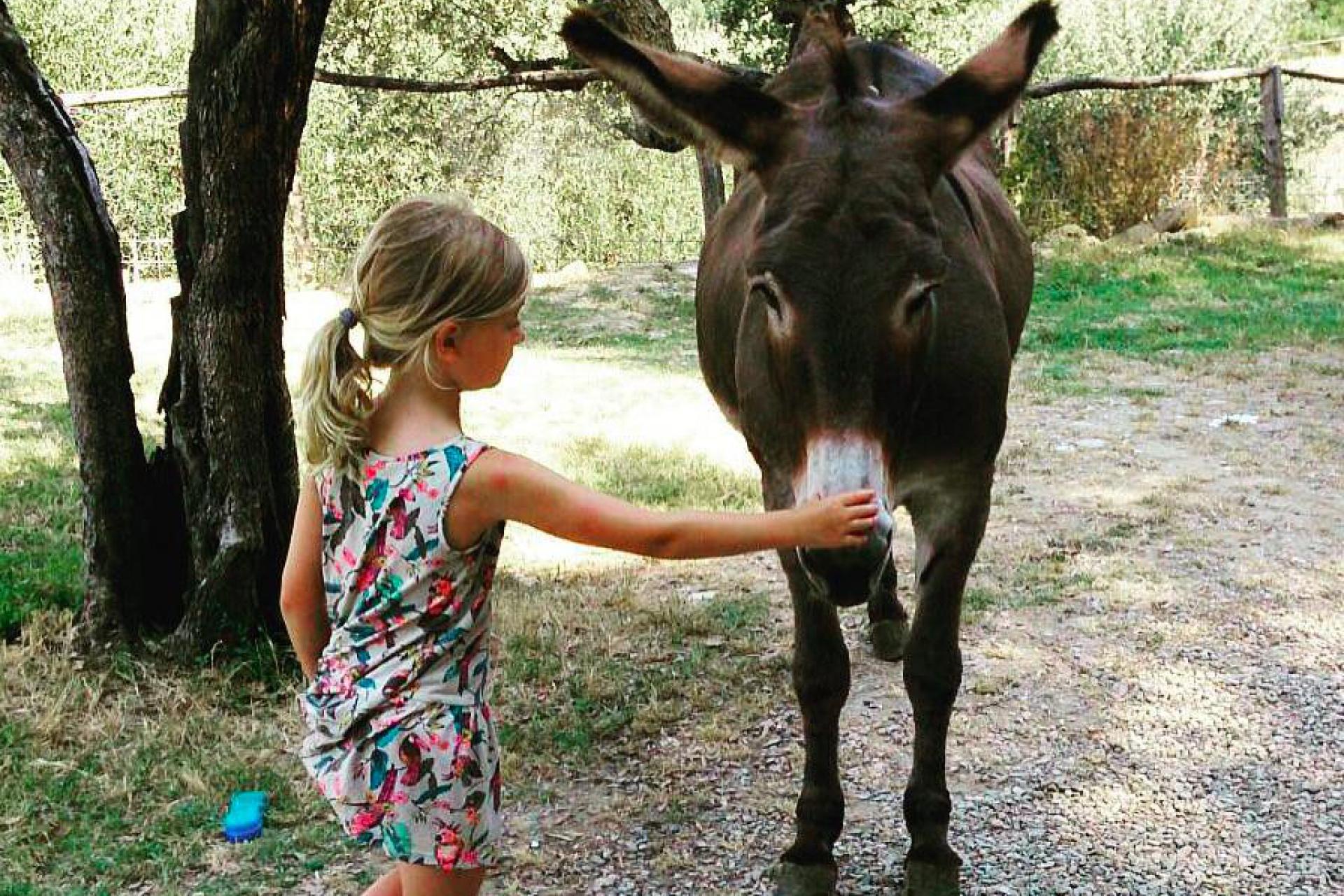 3. Agriturismo ospitale con animali da fattoria