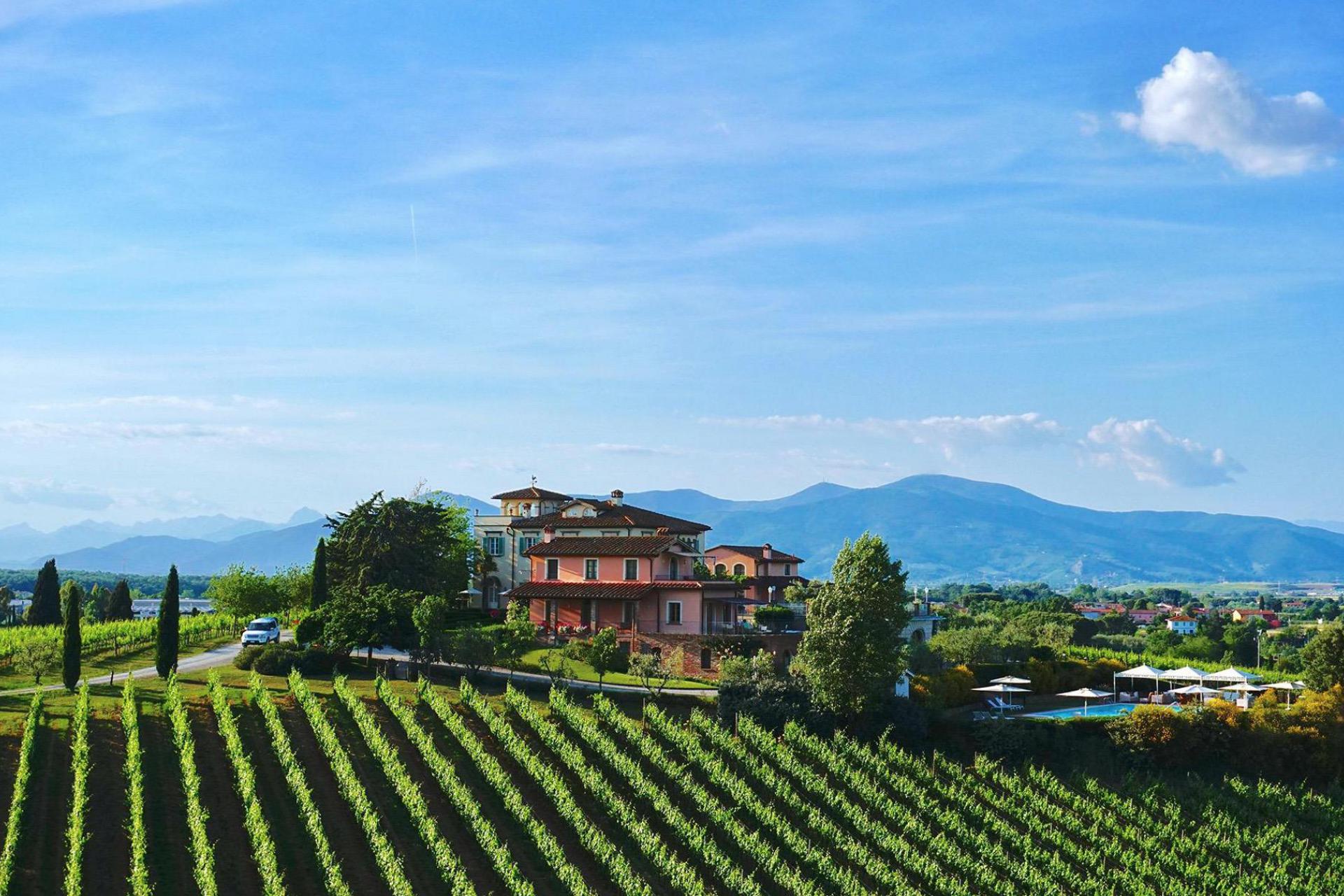 Azienda vinicola e agriturismo di lusso vicino Pisa