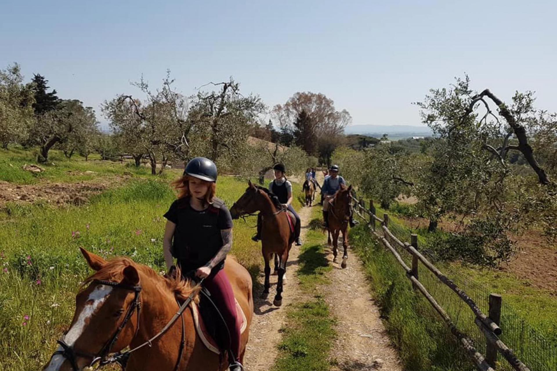 Agriturismo con maneggio al mare