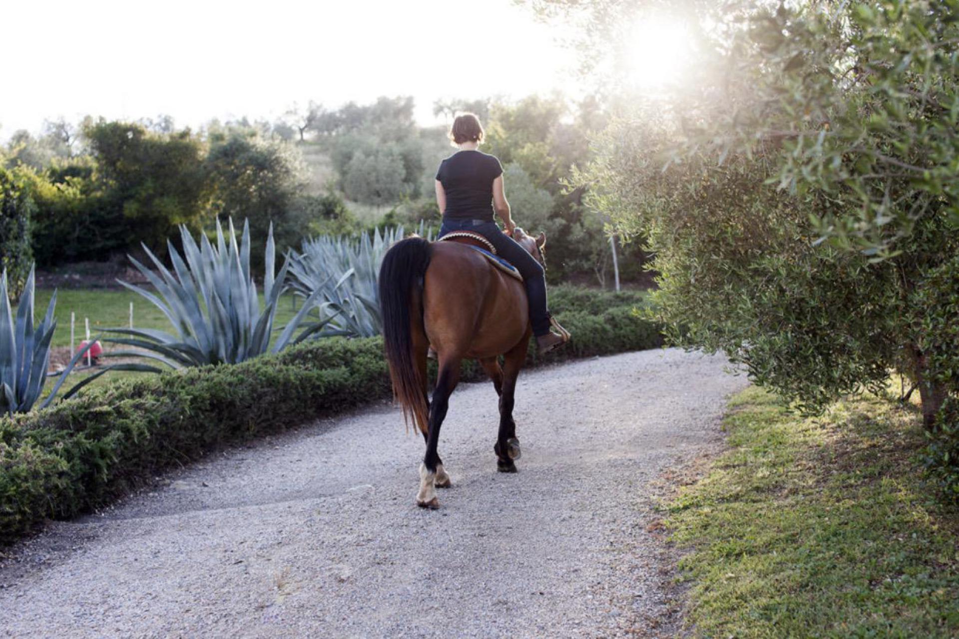 Agriturismo autentico tra gli ulivi con maneggio