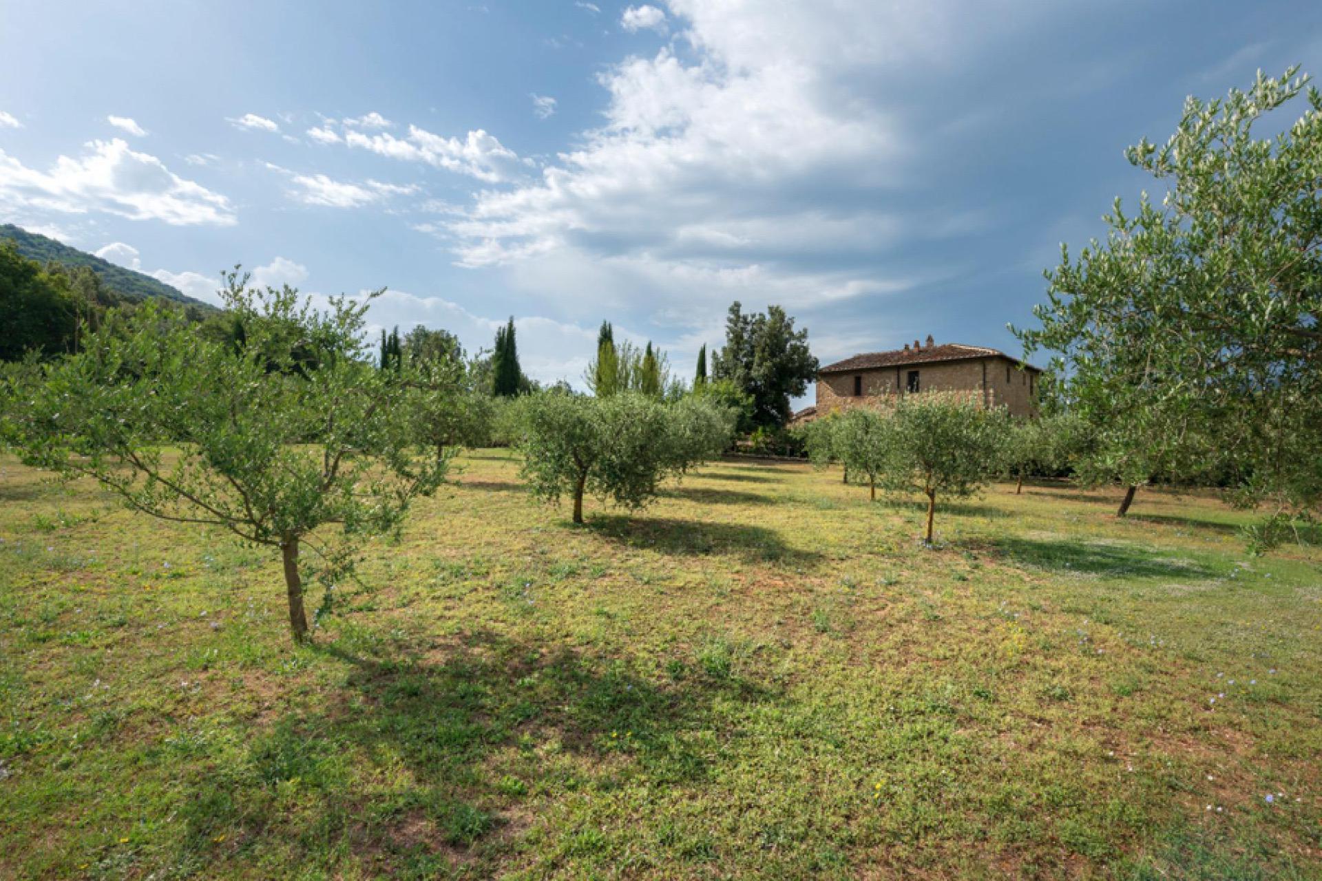 Agriturismo per chi ama pace e comodità, in Toscana