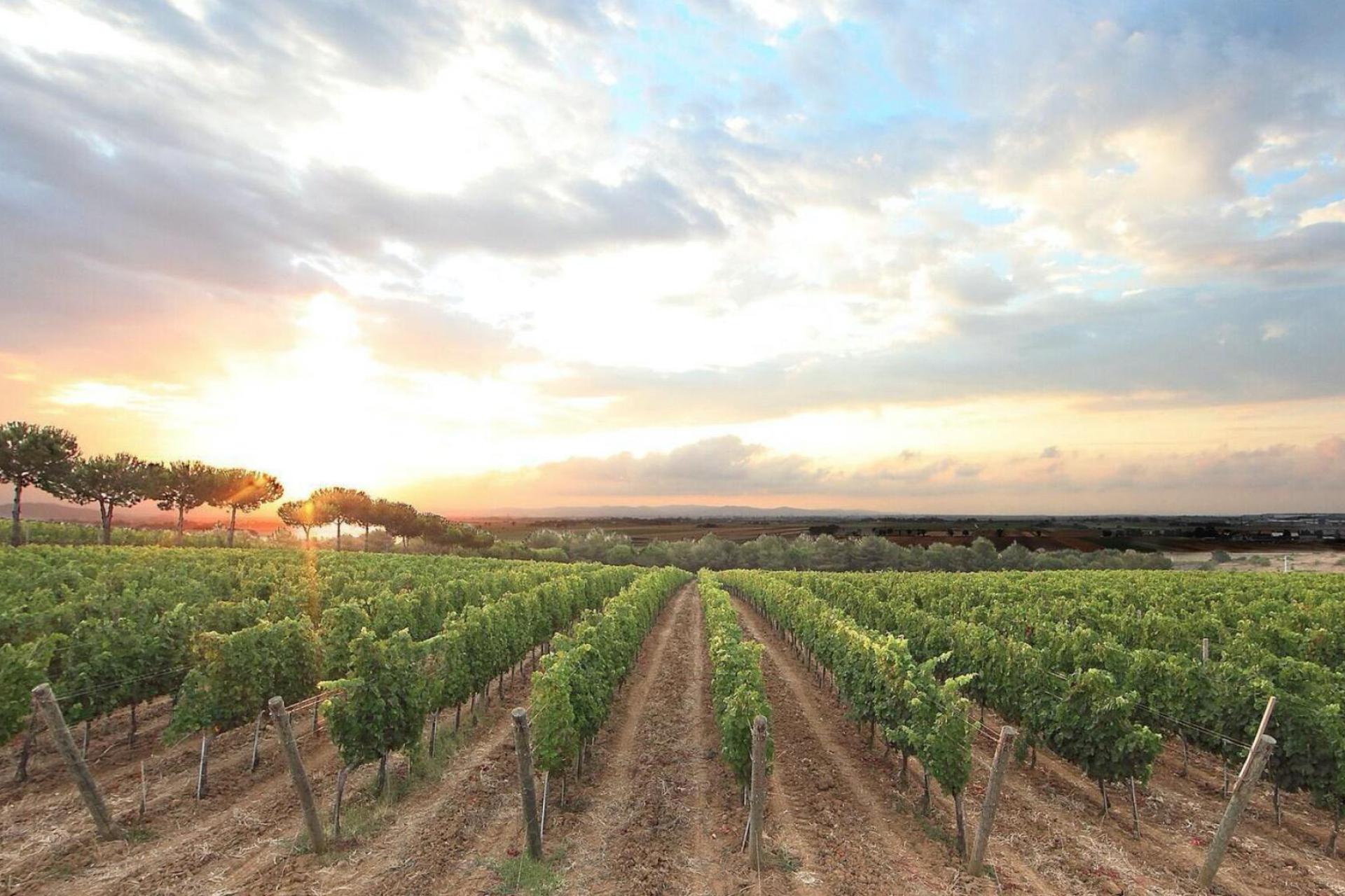Glamping Toscana in agriturismo a 2 km dal mare