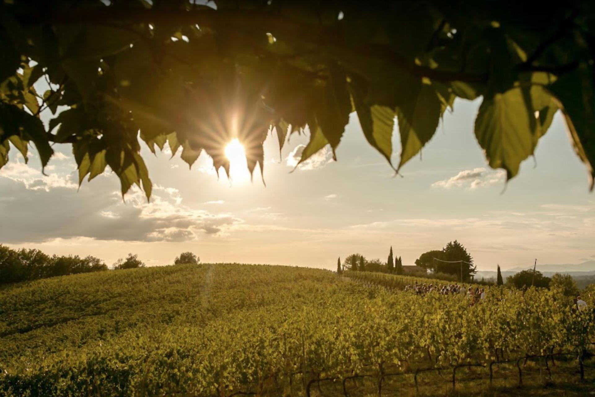 Autentica fattoria vinicola nel Chianti