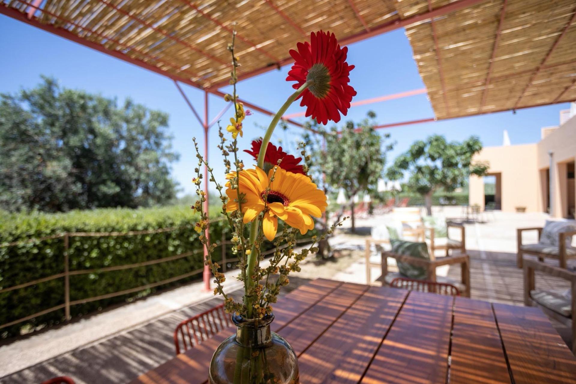 Agriturismo accogliente con ristorante in Sicilia, vicino al mare