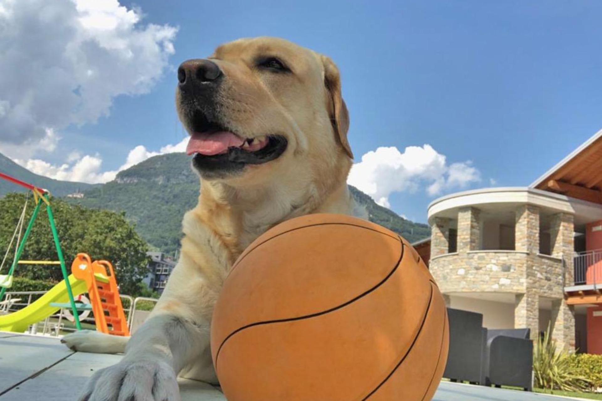 Residence lago di Como con piscina, adatto ai bambini