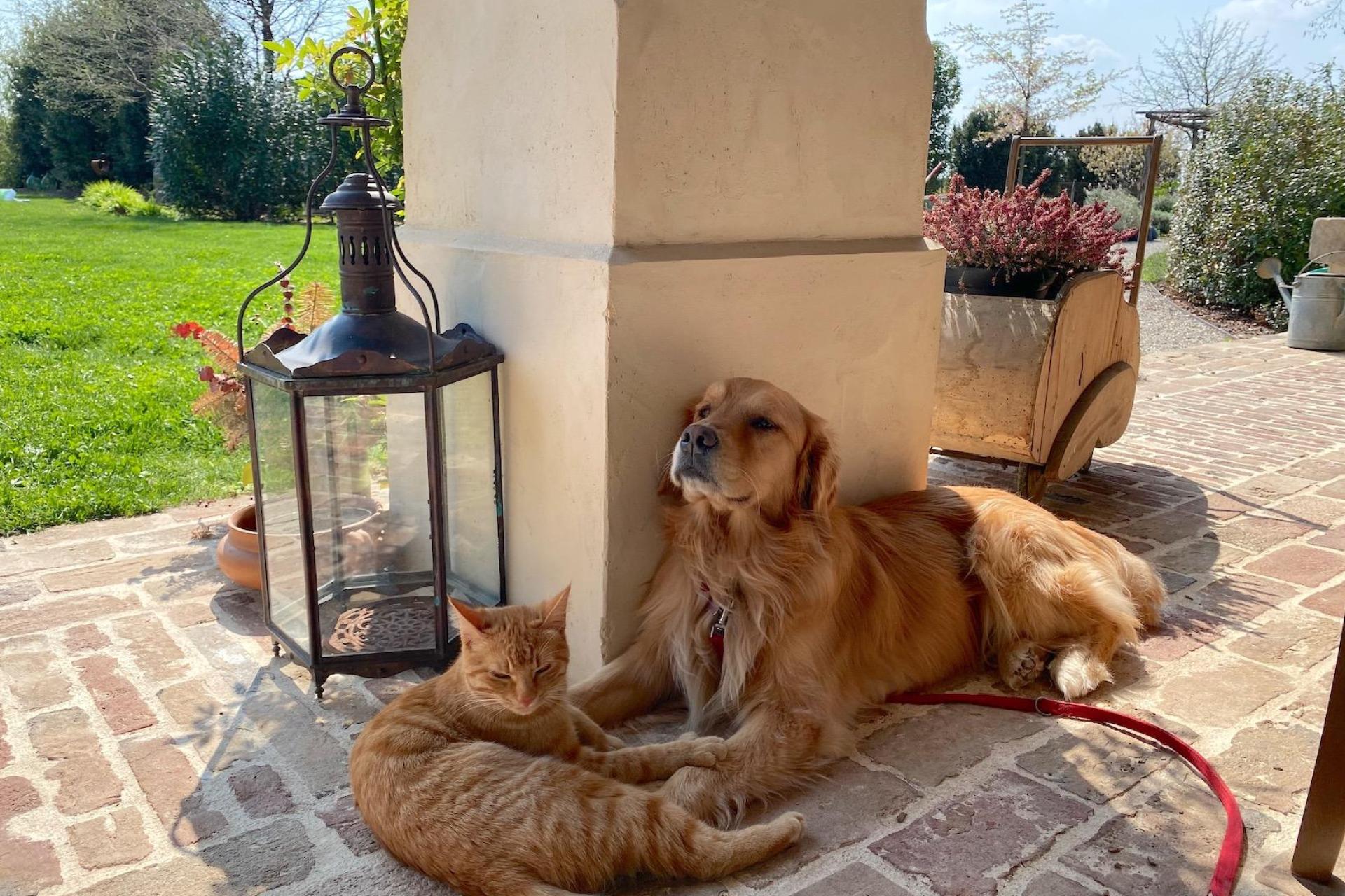 Fattoria ristrutturata in Veneto