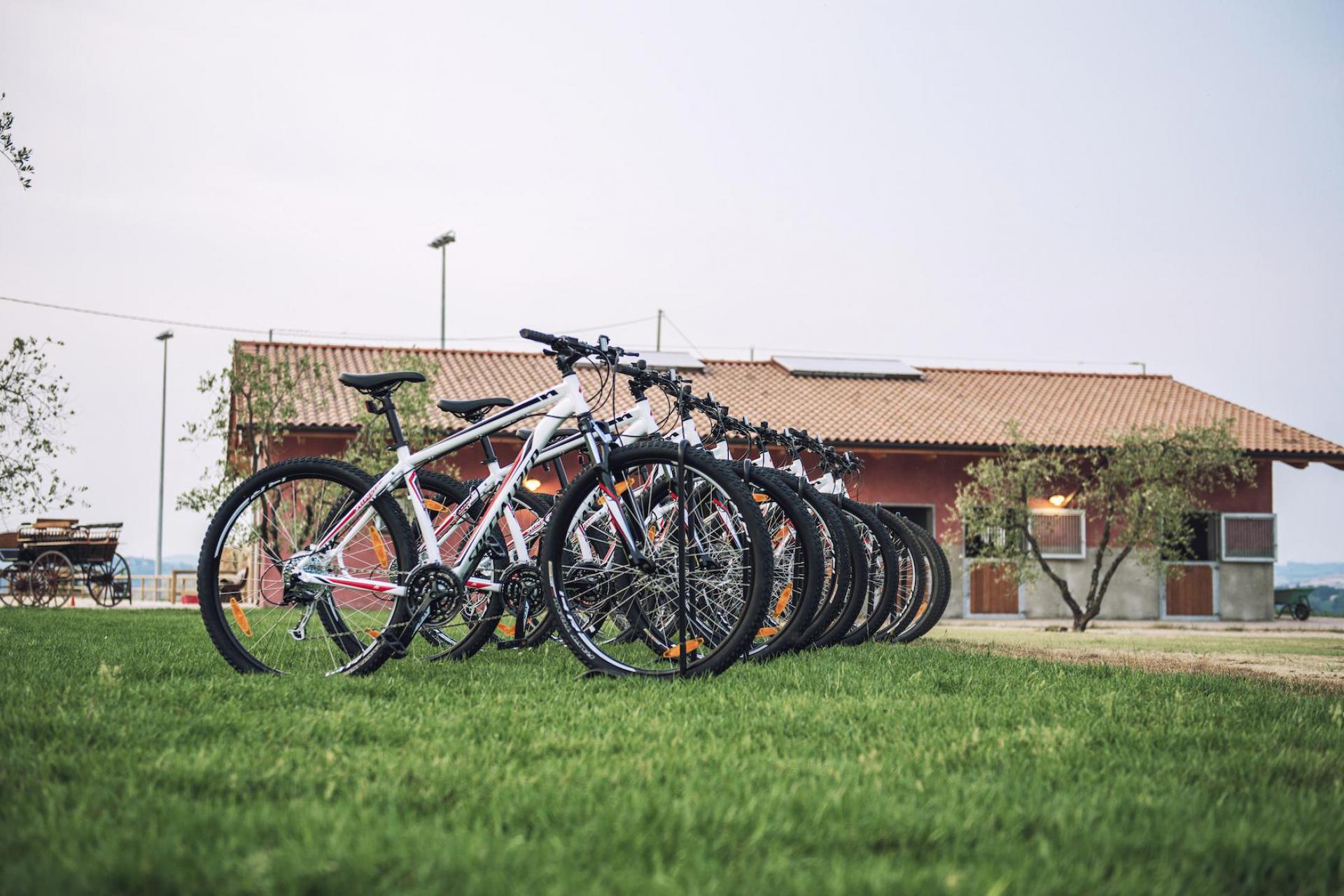 Agriturismo toscano per appassionati di ciclismo