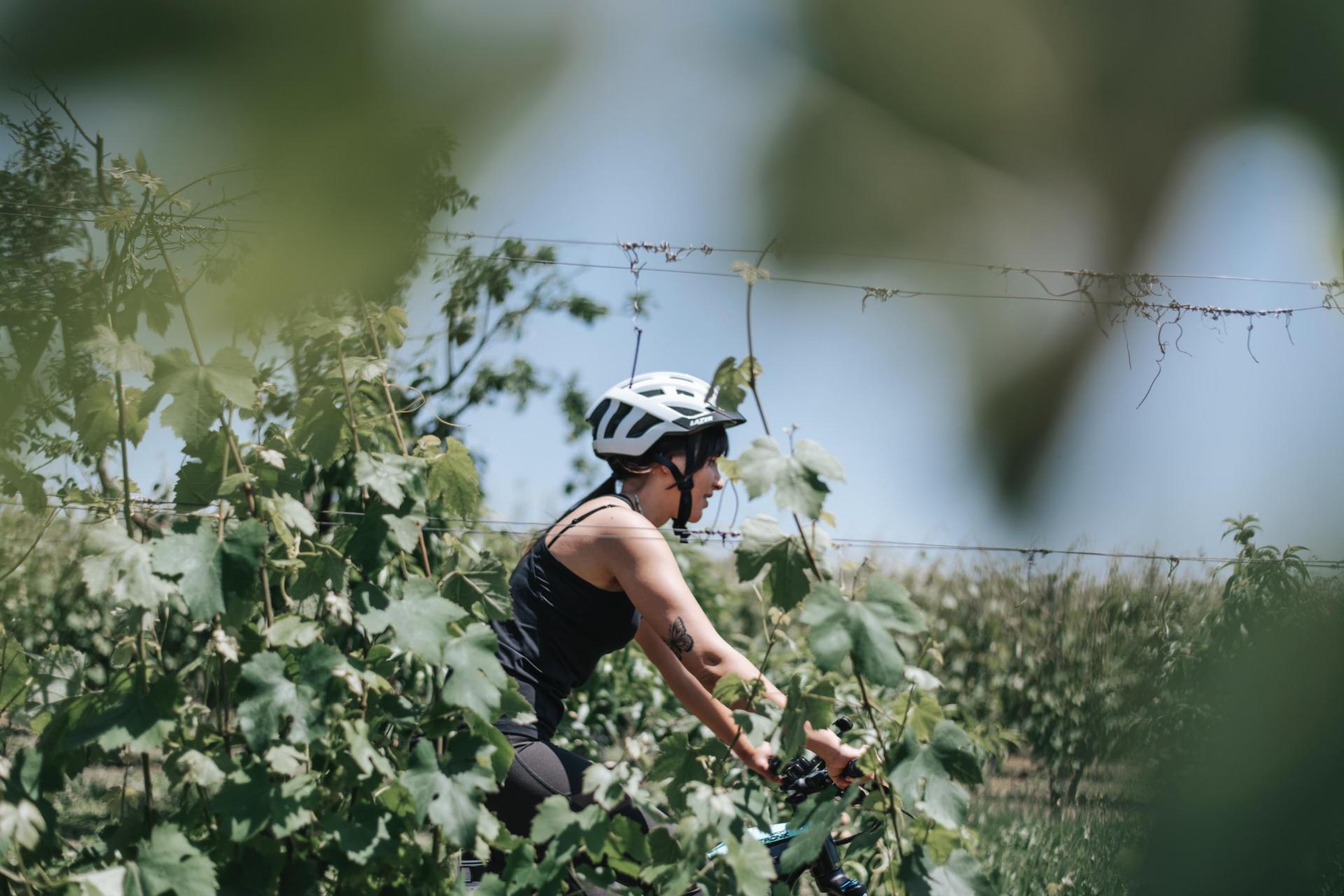 Agriturismo moderno tra i vigneti del Barolo con piscina infinity