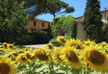 Agriturismo per famiglie con grande piscina e piscina per bambini