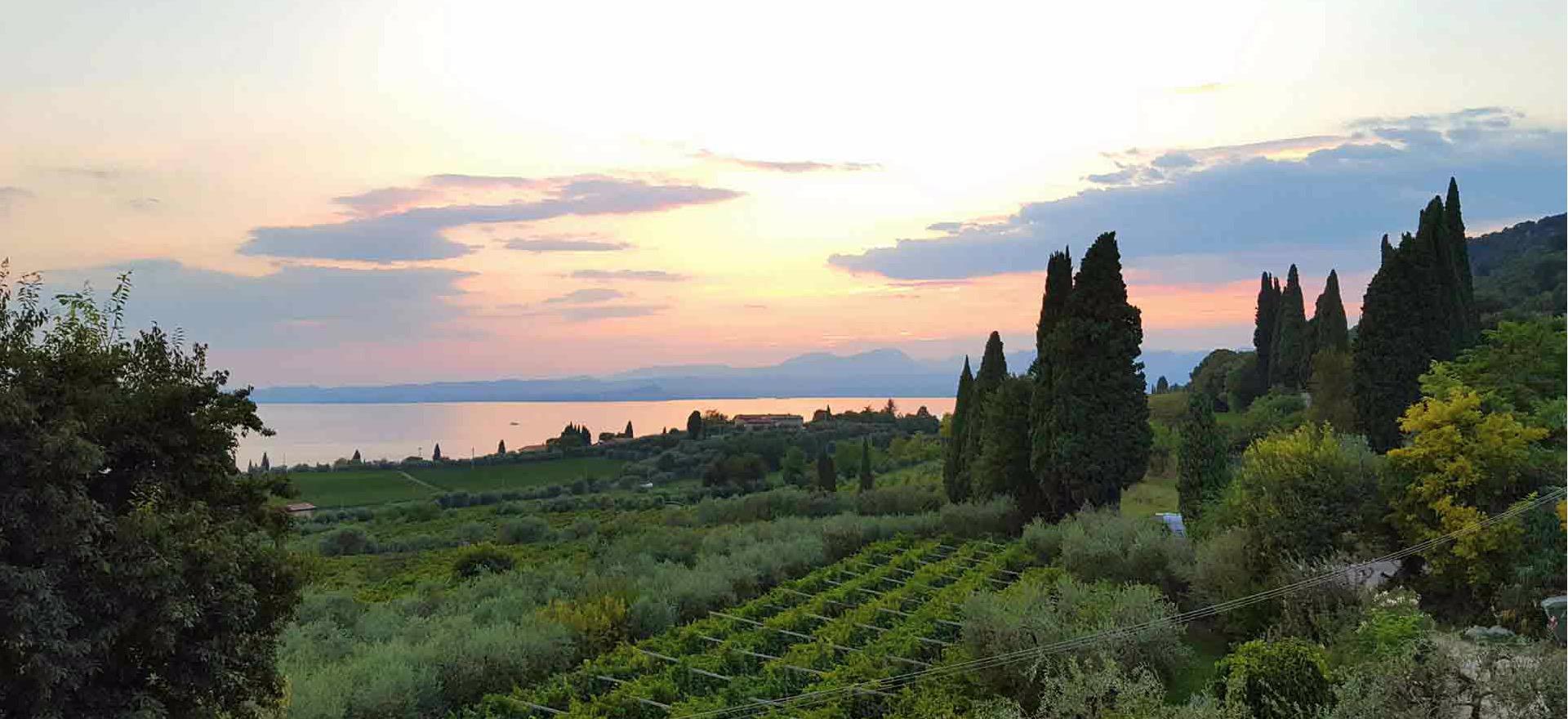 Agriturismo Lago di Como e lago di Garda Accogliente agriturismo con vista sul Lago di Garda