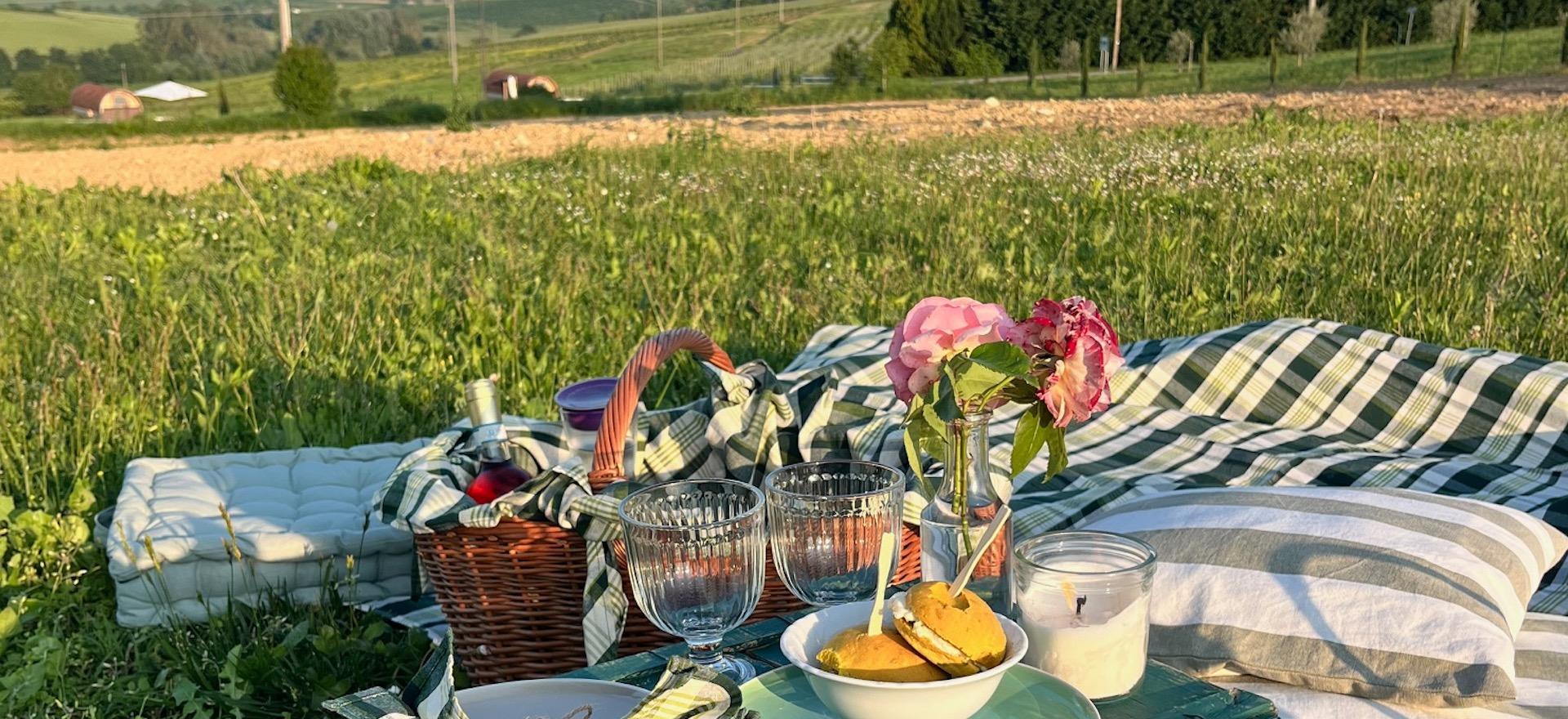 Agriturismo Piemonte Accogliente Bed & Breakfast tra le colline del Monferrato