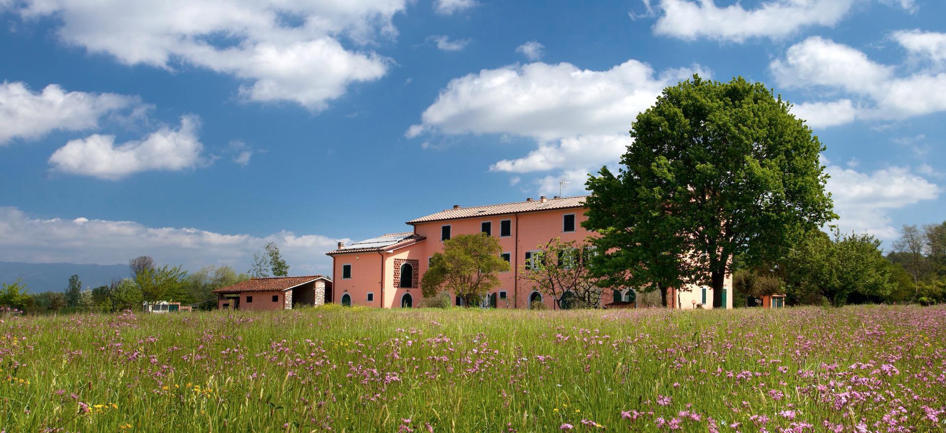 Agriturismo Toscana Agriturismo accogliente vicino a Lucca