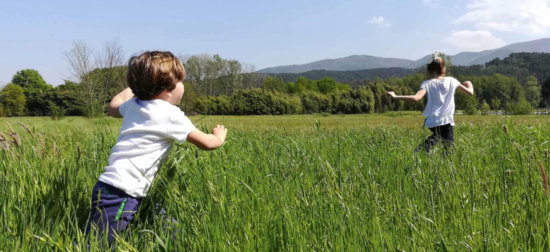 Agriturismo Toscana Agriturismo accogliente vicino a Lucca