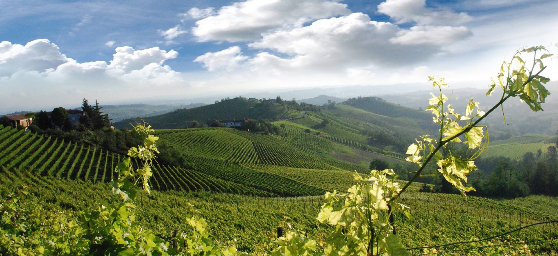 Agriturismo Piemonte Agriturismo e cantina sulle colline piemontesi