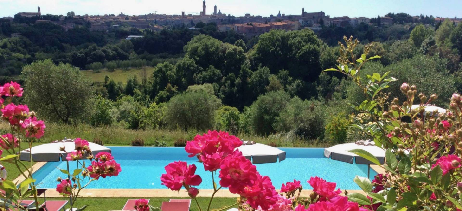 Agriturismo Toscana Agriturismo elegante con bella vista su Siena