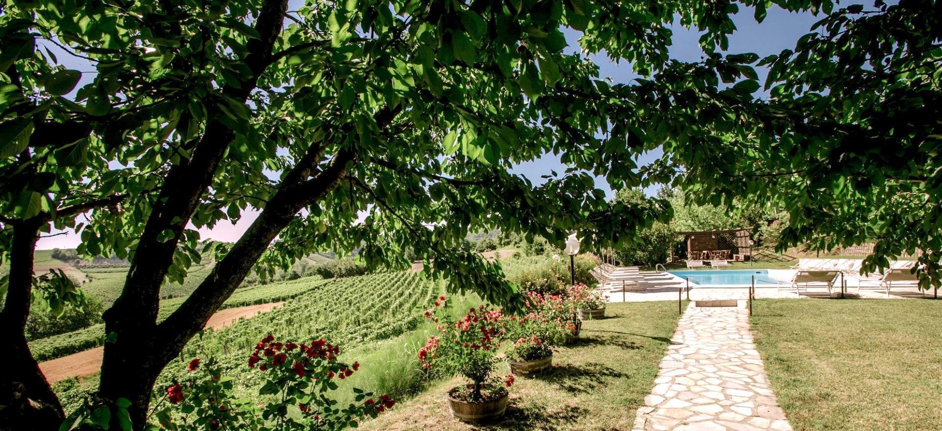 Agriturismo Piemonte Agriturismo in Piemonte per gli amanti dell'ottimo vino