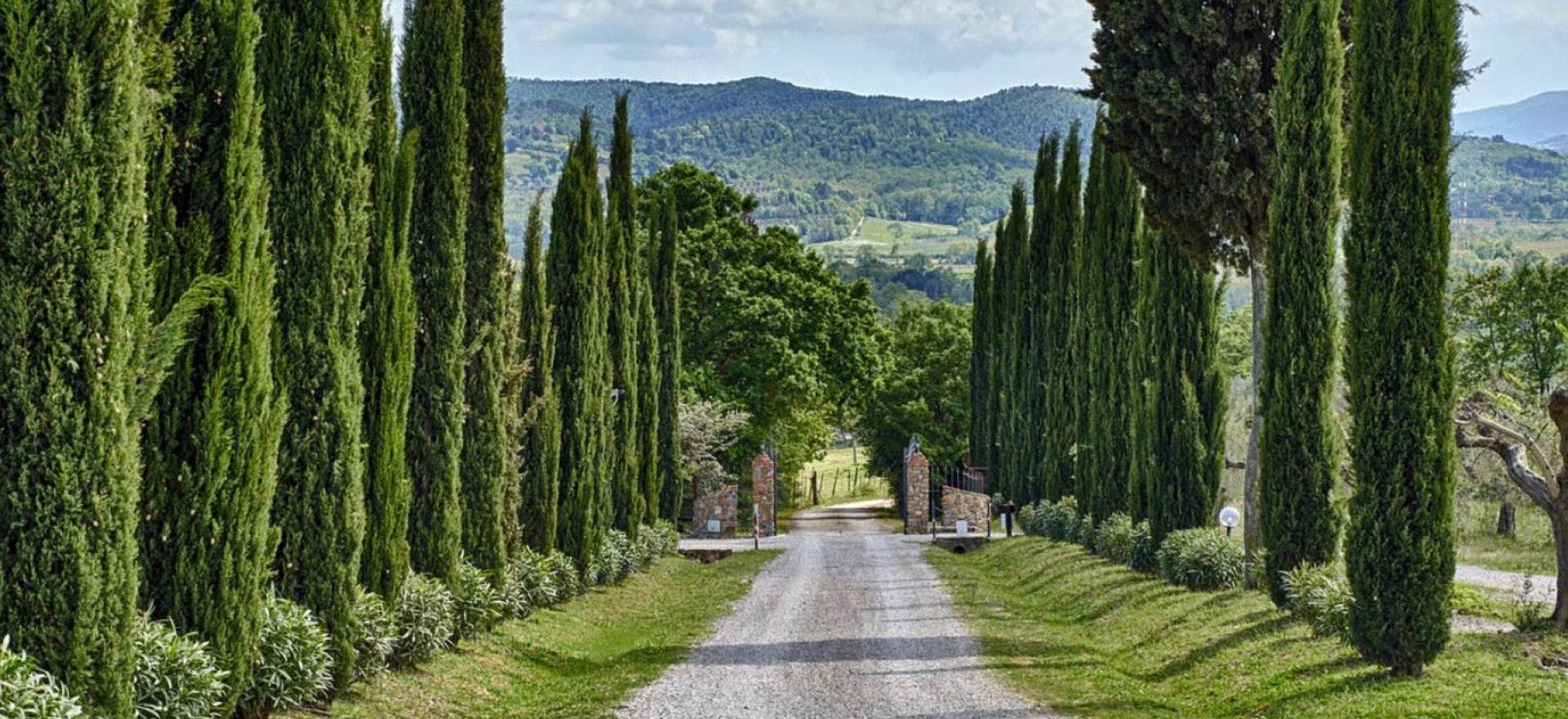Agriturismo Toscana Agriturismo in posizione tranquilla e rurale in Toscana