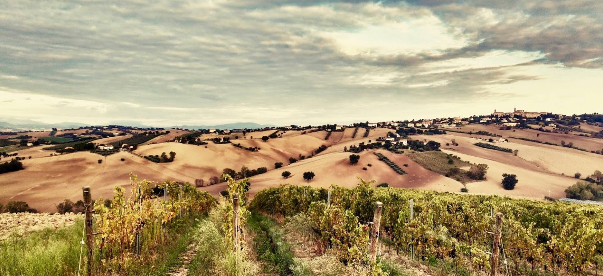 Agriturismo Marche Agriturismo Marche, camere belle e accoglienti