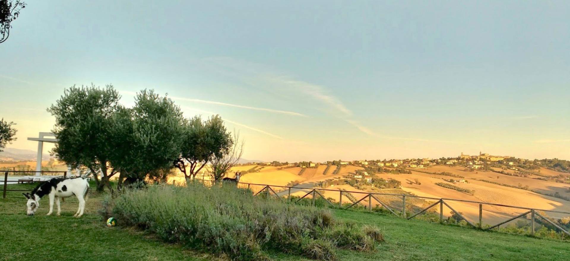 Agriturismo Marche Agriturismo Marche, camere belle e accoglienti