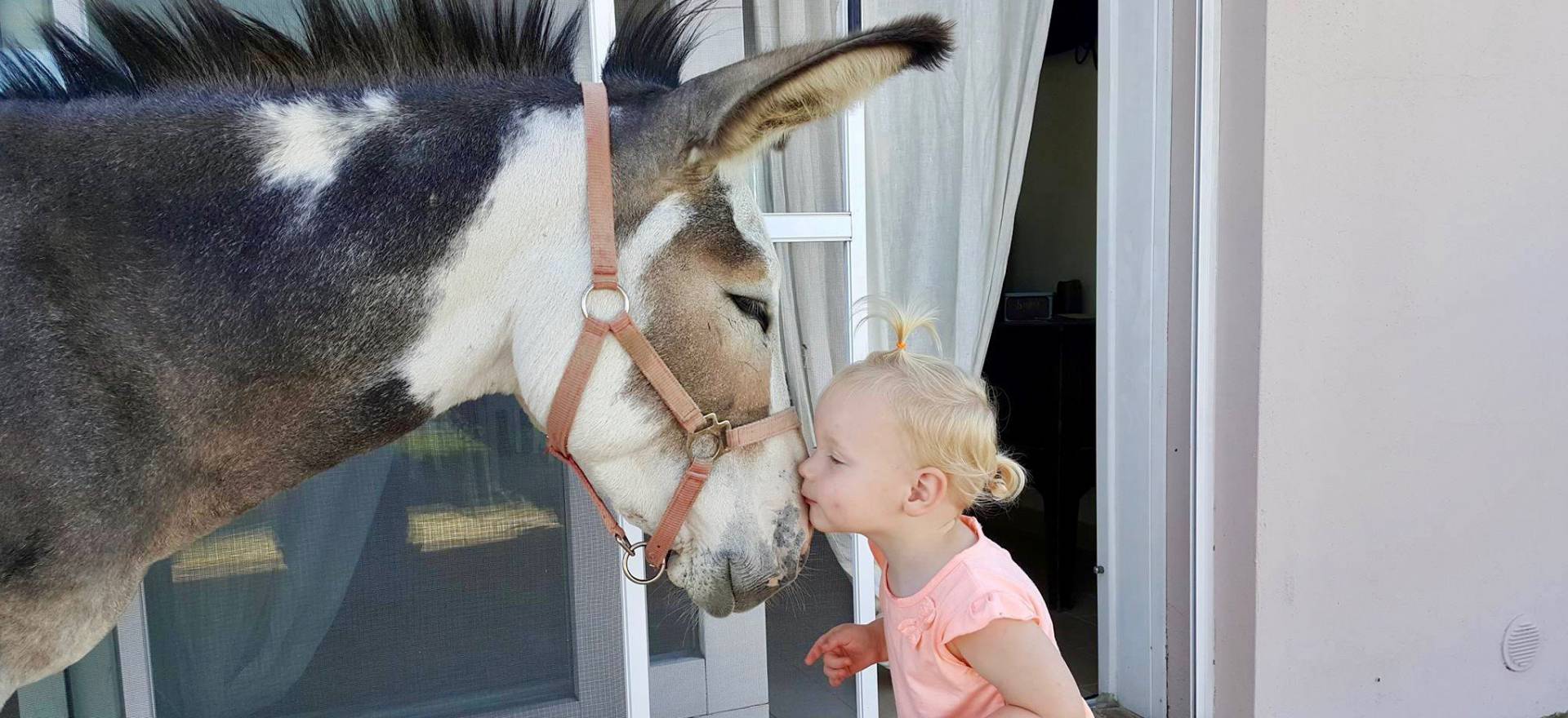 Agriturismo Marche Agriturismo Marche, camere belle e accoglienti