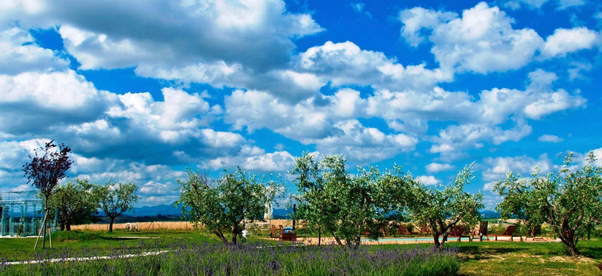 Agriturismo Marche Agriturismo Marche, camere belle e accoglienti