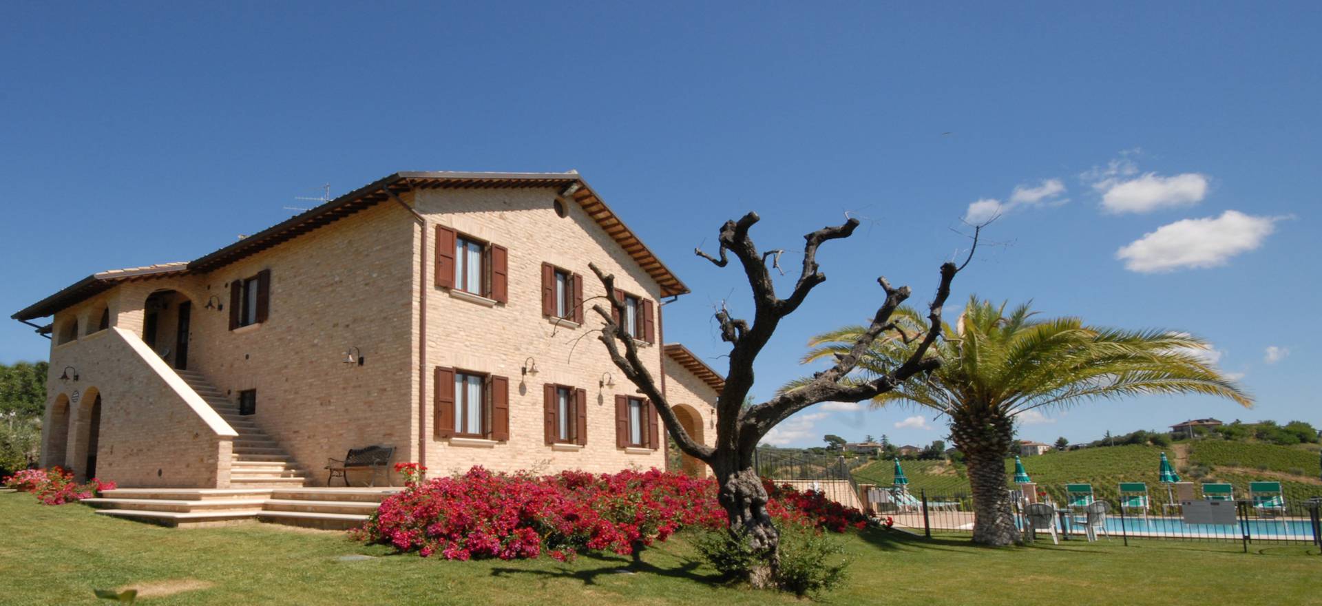 Agriturismo Marche Agriturismo nelle Marche, ospitale e adatto ai bambini