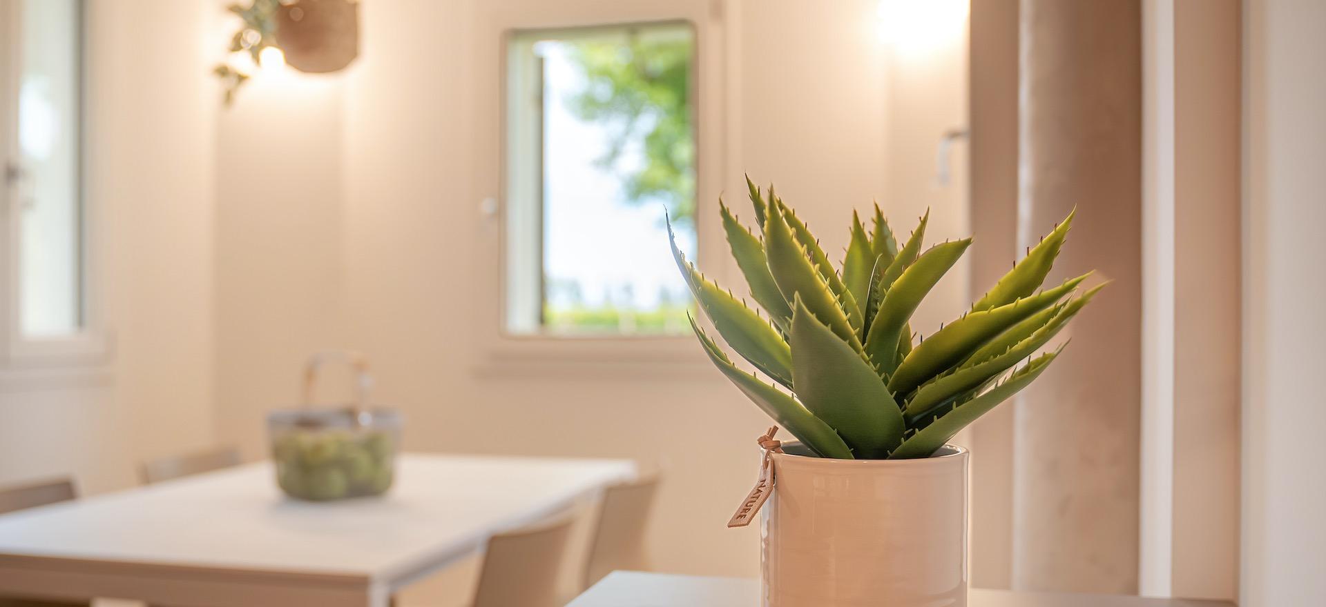 Agriturismo Veneto Agriturismo perfetto per famiglie, a soli 20 minuti dalla spiaggia.