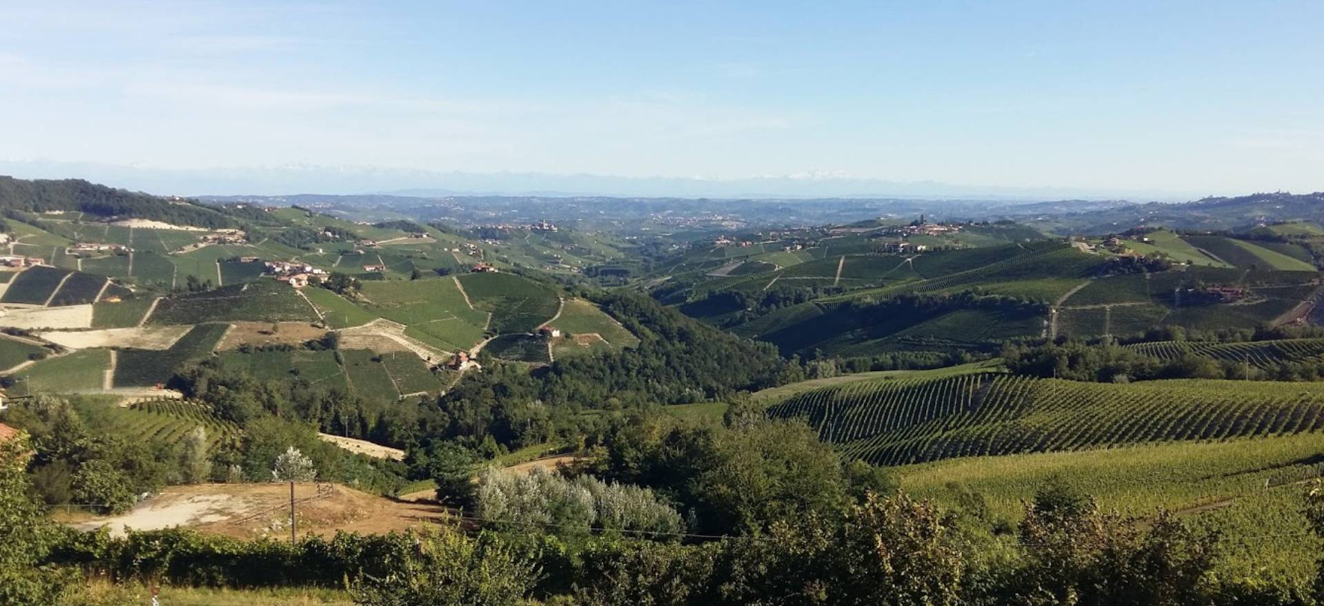 Agriturismo Piemonte Agriturismo Piemonte con grandi vini e ristorante