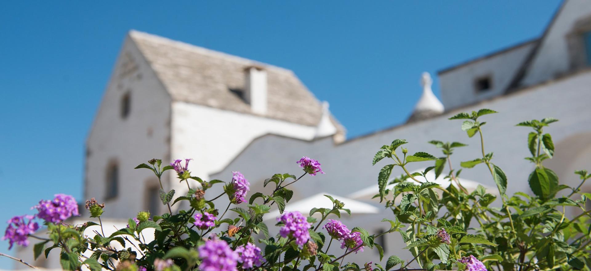 Agriturismo Puglia Agriturismo Puglia, suite in trullo con vista