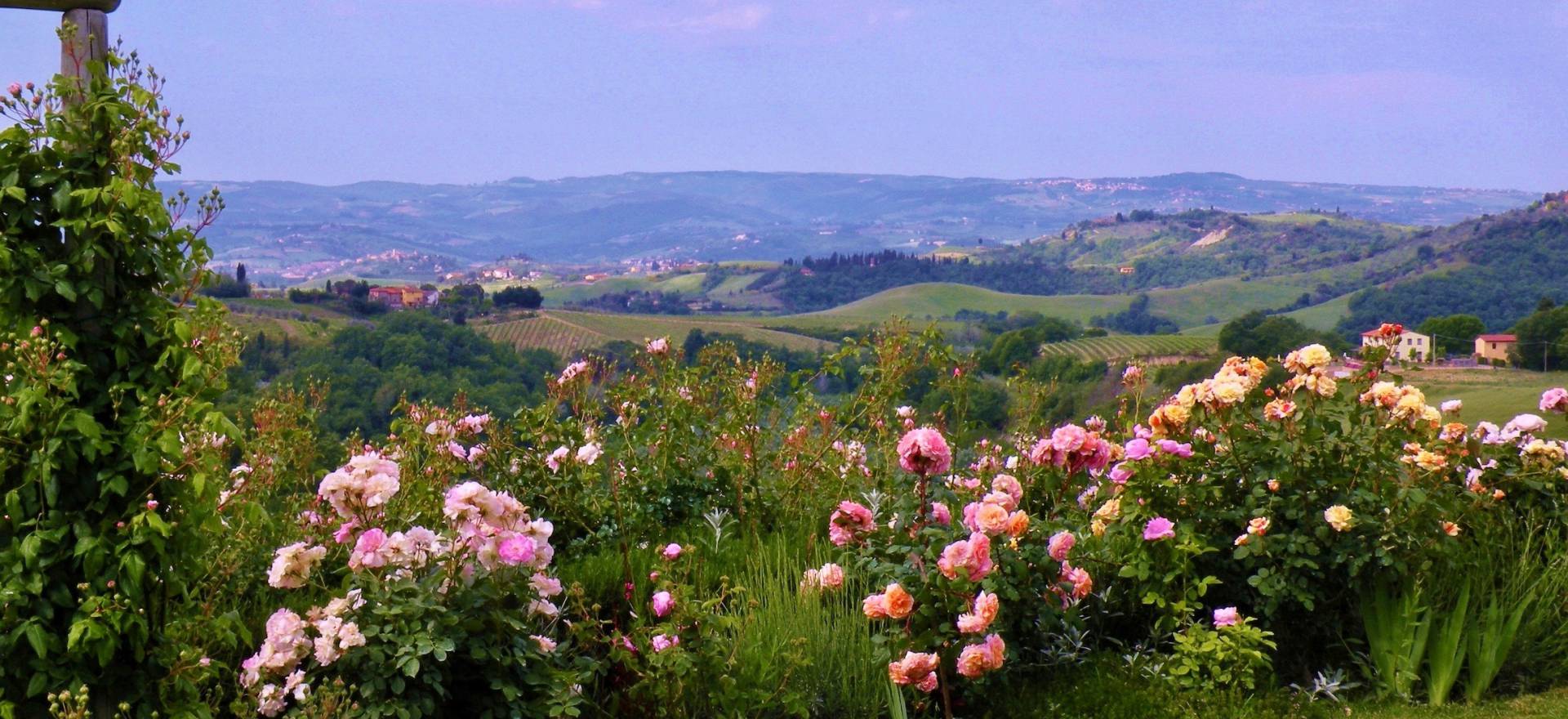 Agriturismo Toscana Agriturismo Toscana in uliveto con vista mozzafiato