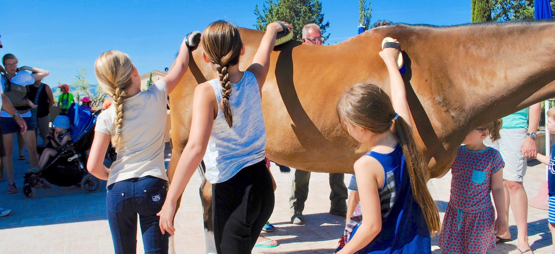 Agriturismo Toscana Agriturismo Toscana, per bambini, ottima accoglienza!