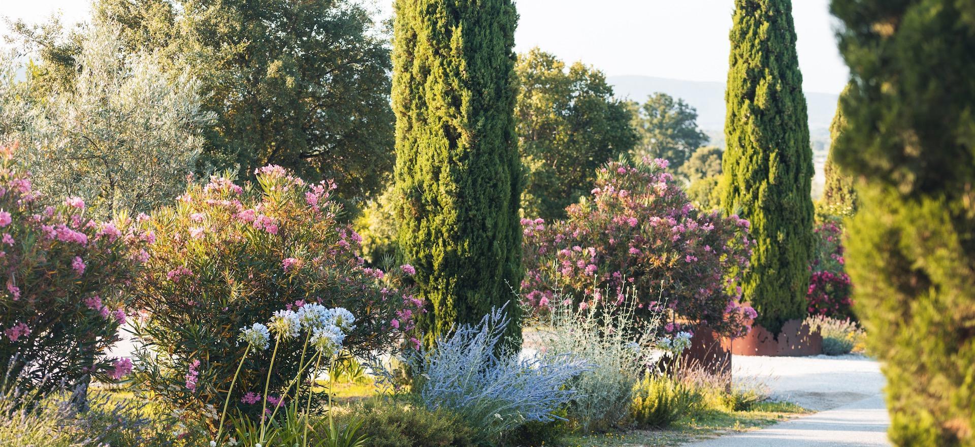 Agriturismo Toscana Agriturismo Toscana vicino al mare, perfetto per ciclisti attivi