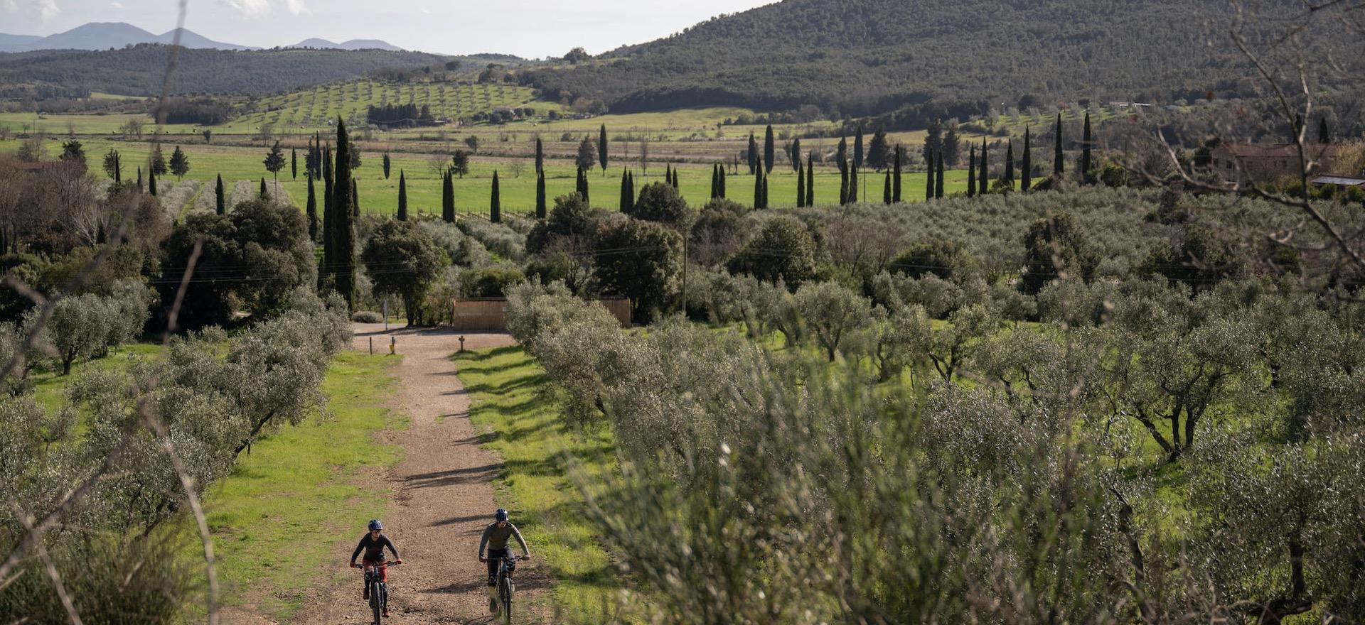 Agriturismo Toscana Agriturismo Toscana vicino al mare, perfetto per ciclisti attivi