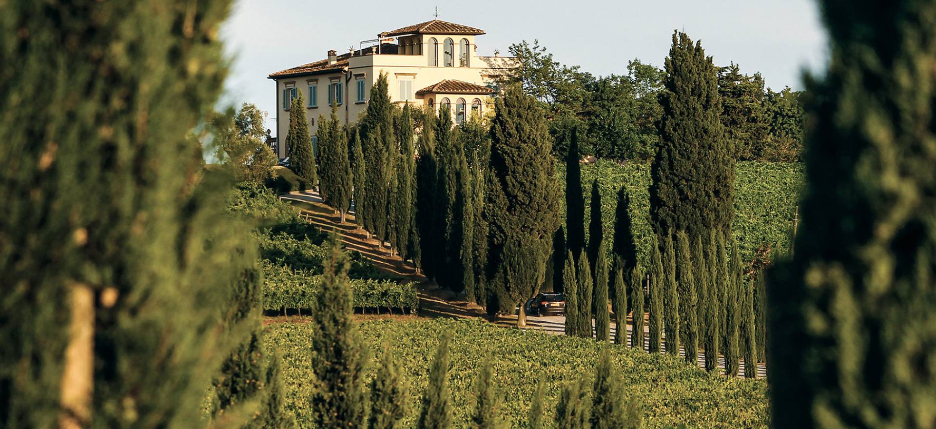 Agriturismo Toscana Azienda vinicola e agriturismo di lusso vicino Pisa