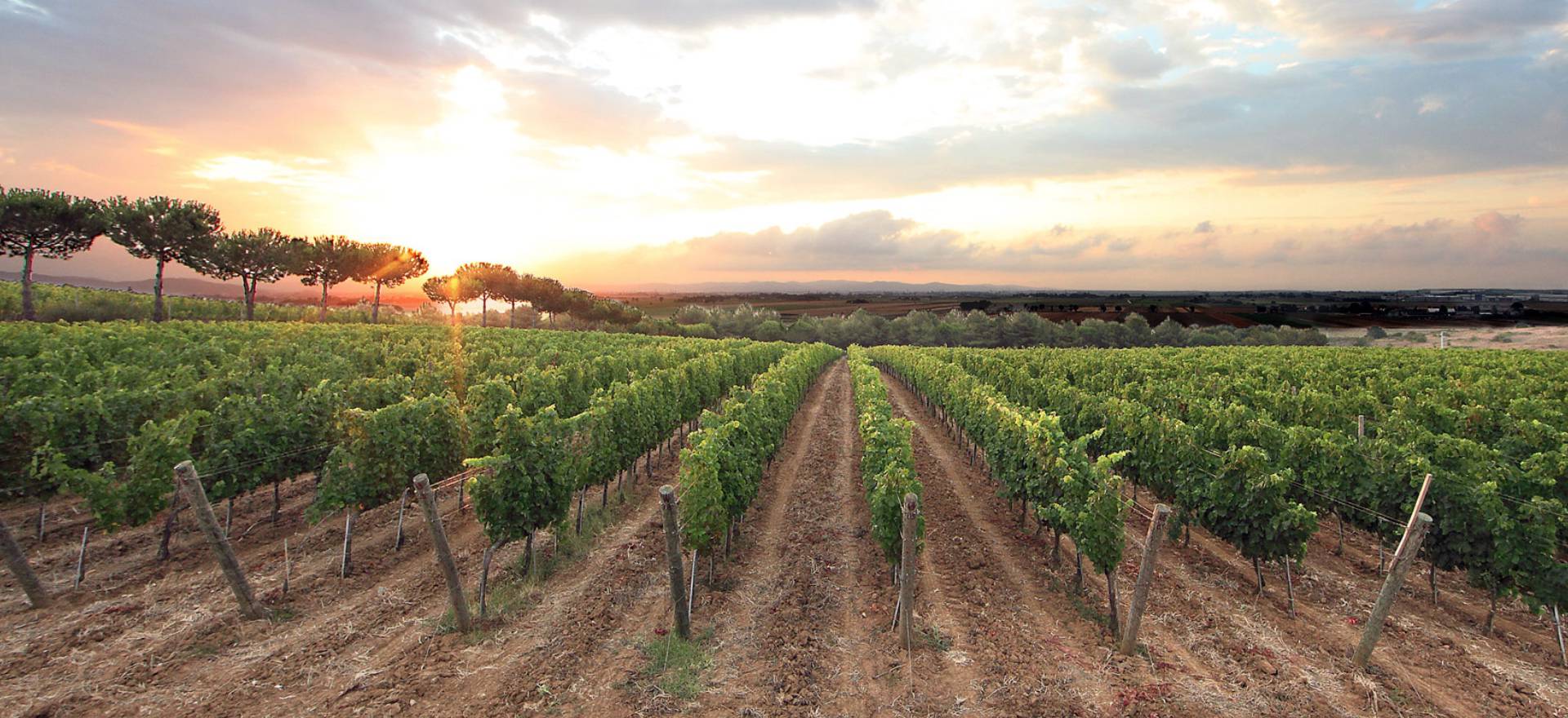 Agriturismo Toscana Glamping Toscana in agriturismo a 2 km dal mare