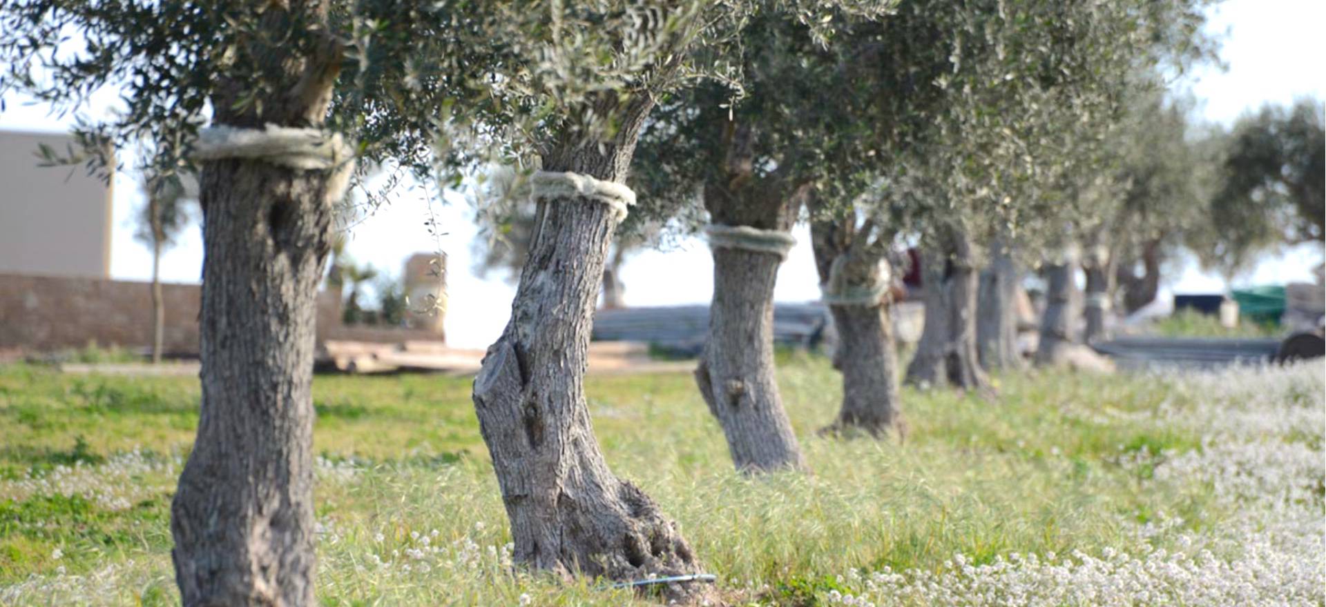Agriturismo Sicilia Lussuoso agriturismo vicino alla spiaggia