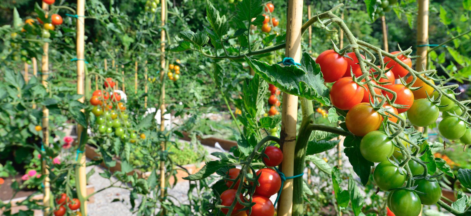 Agriturismo Lago di Como e lago di Garda Piccolo resort di lusso con vista eccezionale